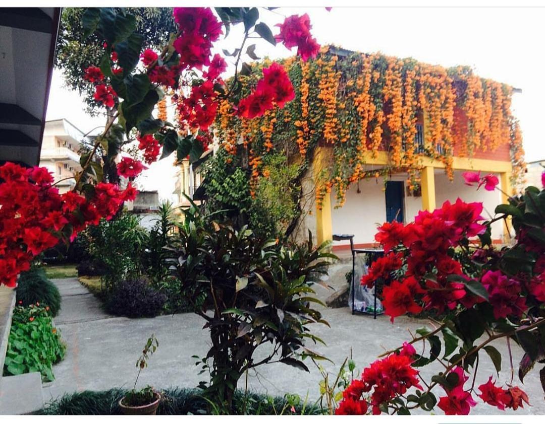 Hotel Mountain View - Lakeside Pokhara Bagian luar foto