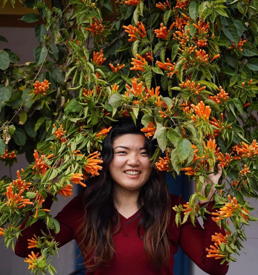 Hotel Mountain View - Lakeside Pokhara Bagian luar foto